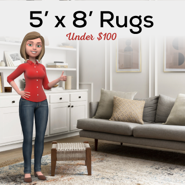 5' x 8' Rugs Under $100