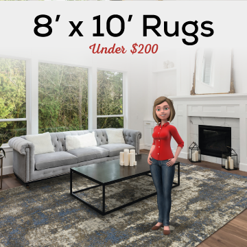 8' x 10' Rugs Under $200